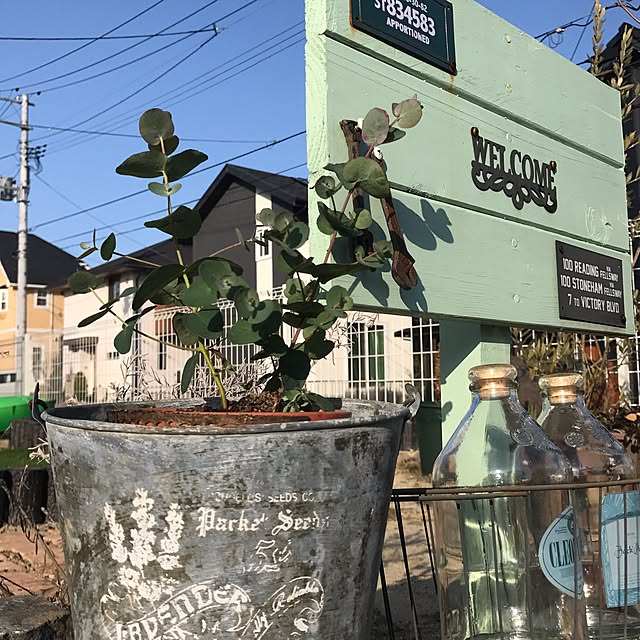 rymamaさんの実例写真