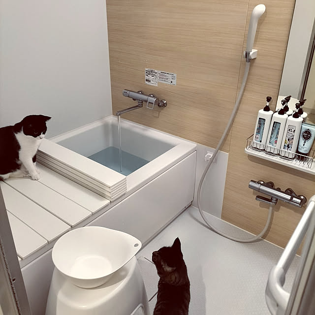 hihaさんの実例写真