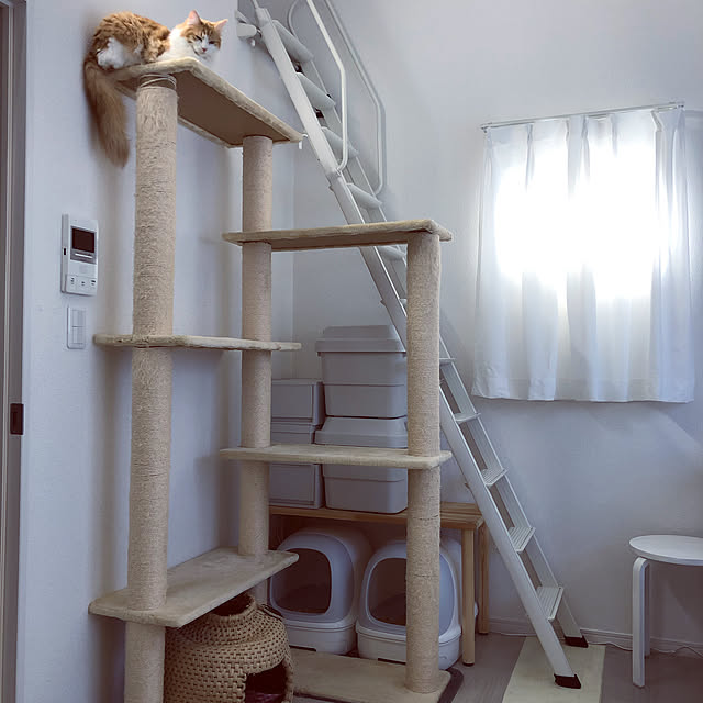 w_fox0713さんの実例写真