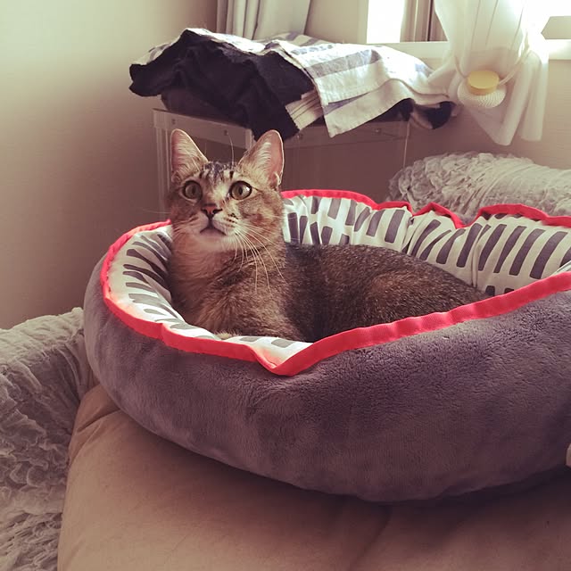 Reikoさんの実例写真