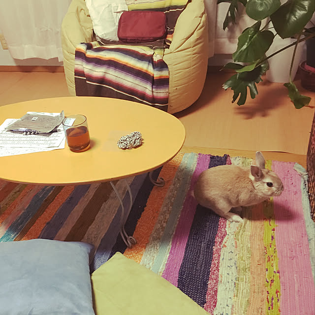 tokoさんの実例写真