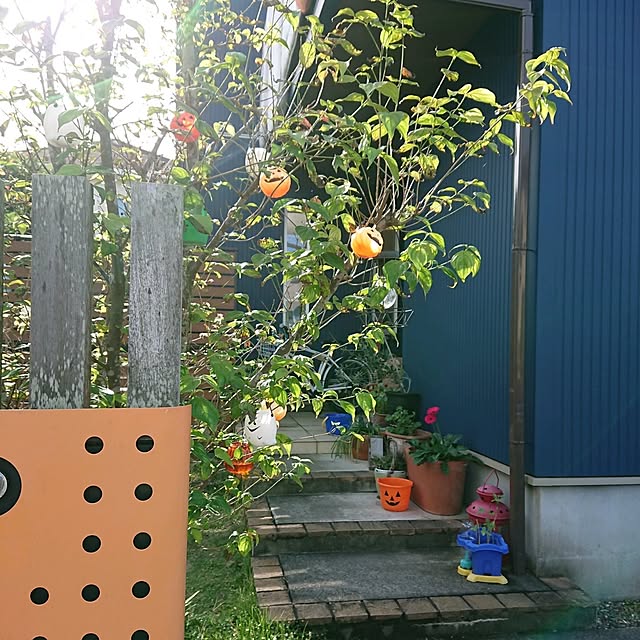 urchinさんの部屋