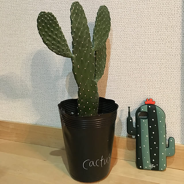 leonさんの実例写真