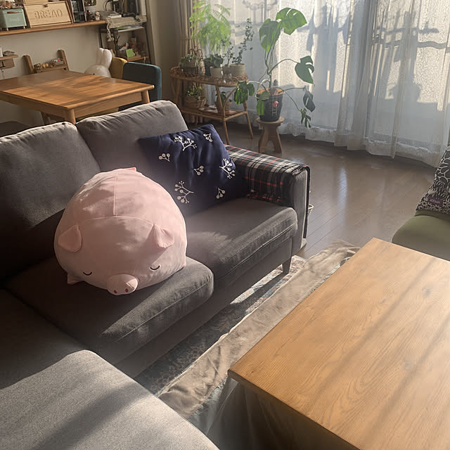 JUNさんの実例写真