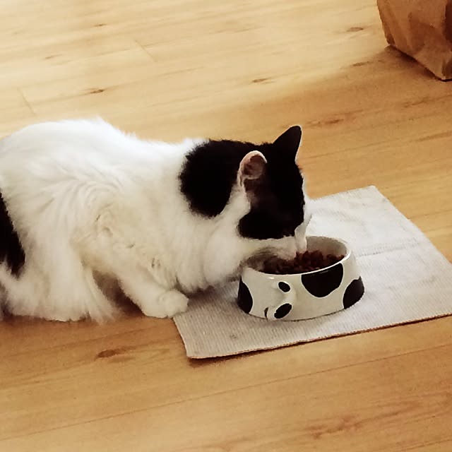Yayoiさんの実例写真