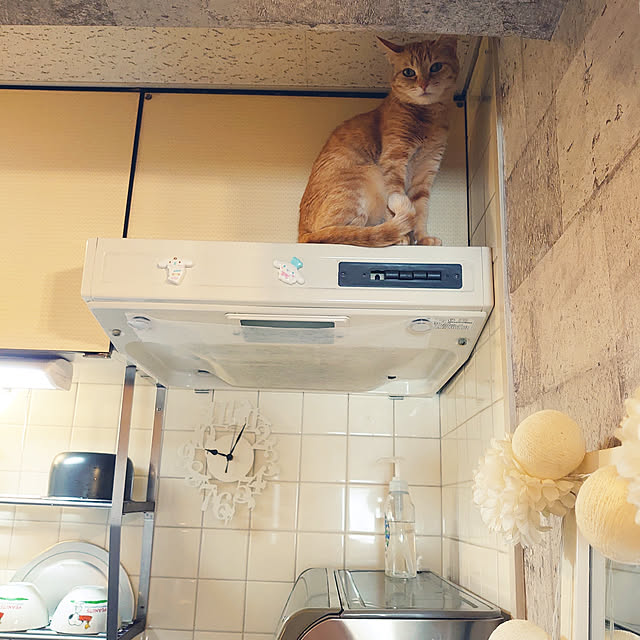 asuminさんの実例写真