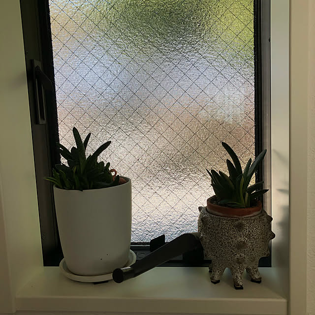 otanuさんの実例写真