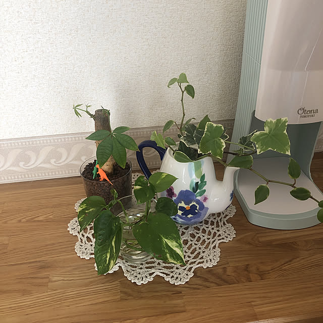 ボタニカルインテリア/観葉植物/リビングのインテリア実例 - 2022-04-19 15:08:19