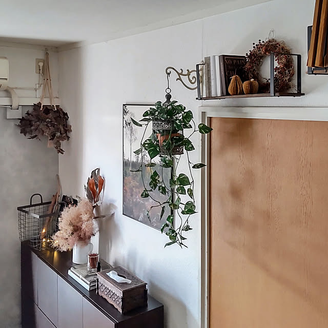 グレビレアゴールドのおすすめ商品とおしゃれな実例 | RoomClip グレビレアゴールドのおすすめ商品とおしゃれな実例 | RoomClip