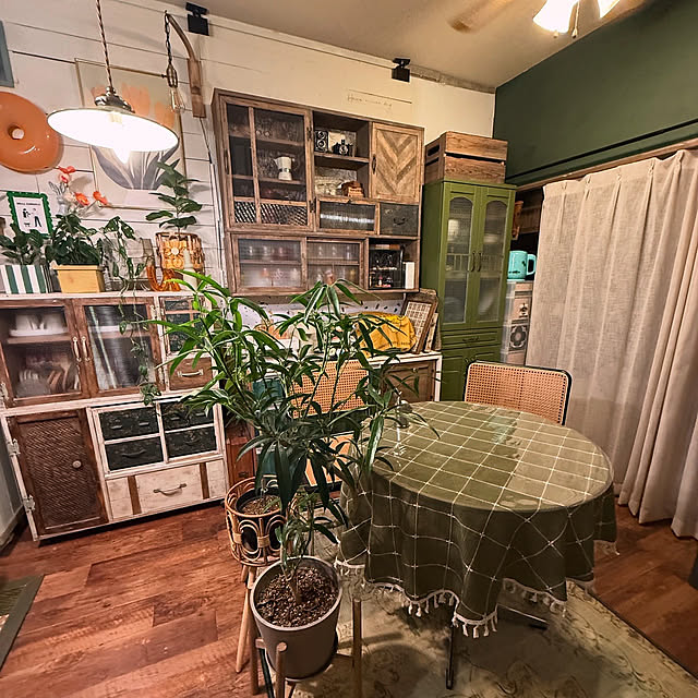 部屋全体/グリーンのある暮らし/賃貸/賃貸DIY/インスタ→eriri.81のインテリア実例 - 2025-06-05 01:56:05
