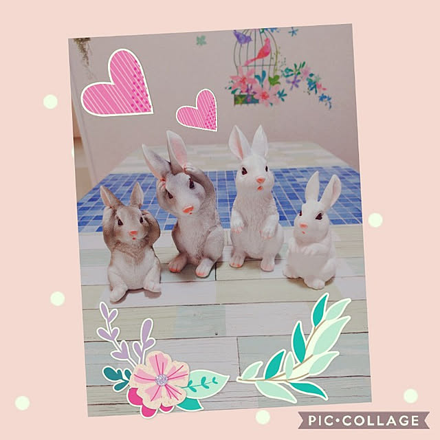 Miyumamaさんの実例写真