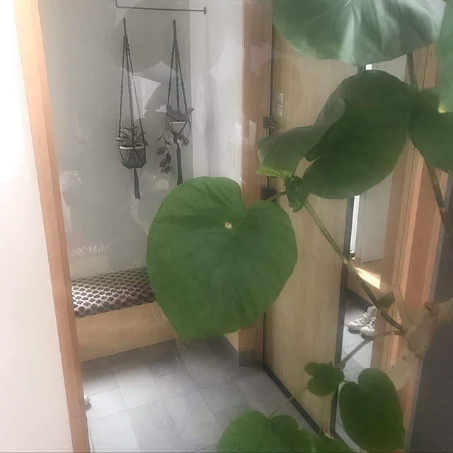 sachiさんの実例写真