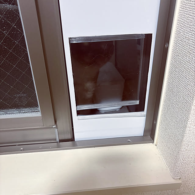 noconocoy2さんの部屋
