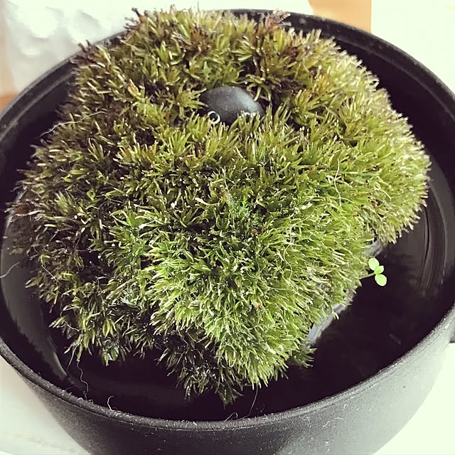 yukoさんの実例写真