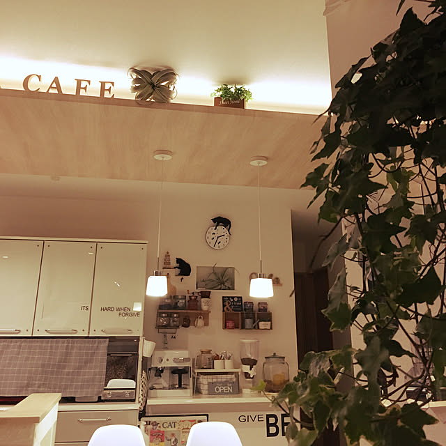 megu.catさんの実例写真