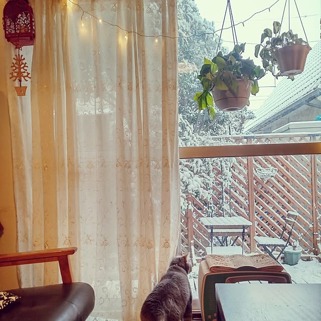 orca_cafeさんの実例写真