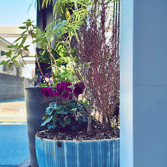 chacoさんの部屋