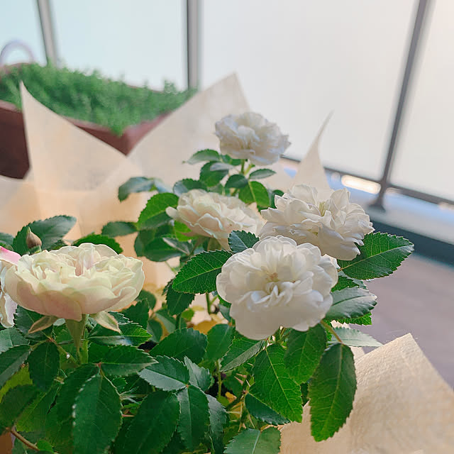 ponme33さんの実例写真