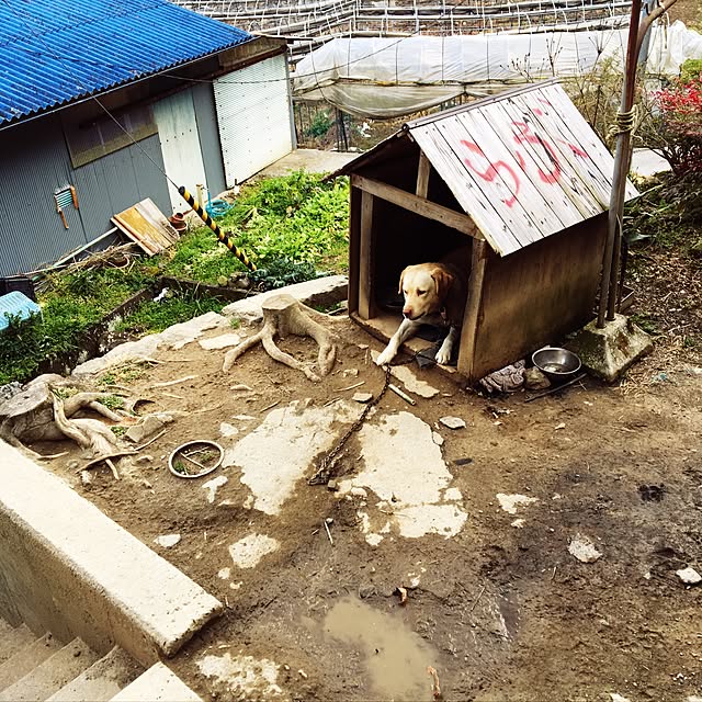 kimurasan_1026さんの実例写真