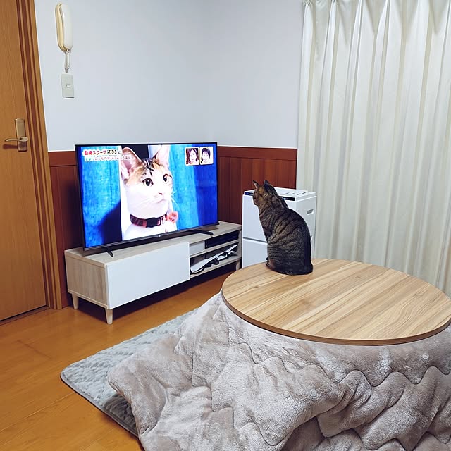 nachiさんの実例写真