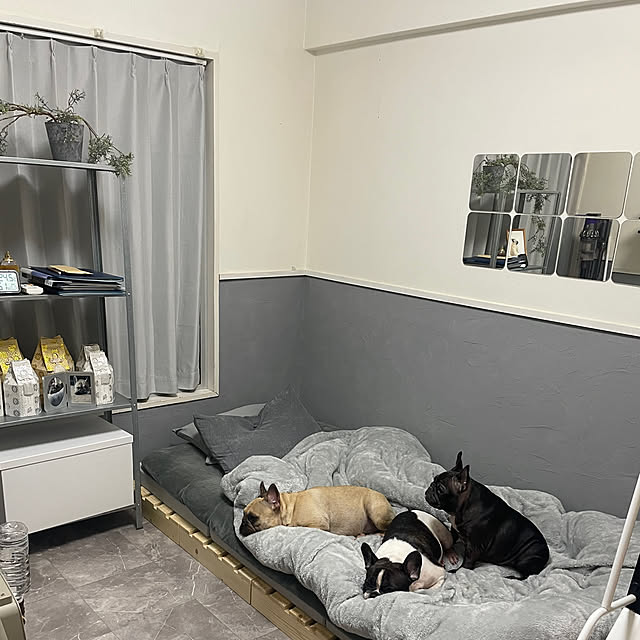 oggy0301さんの部屋