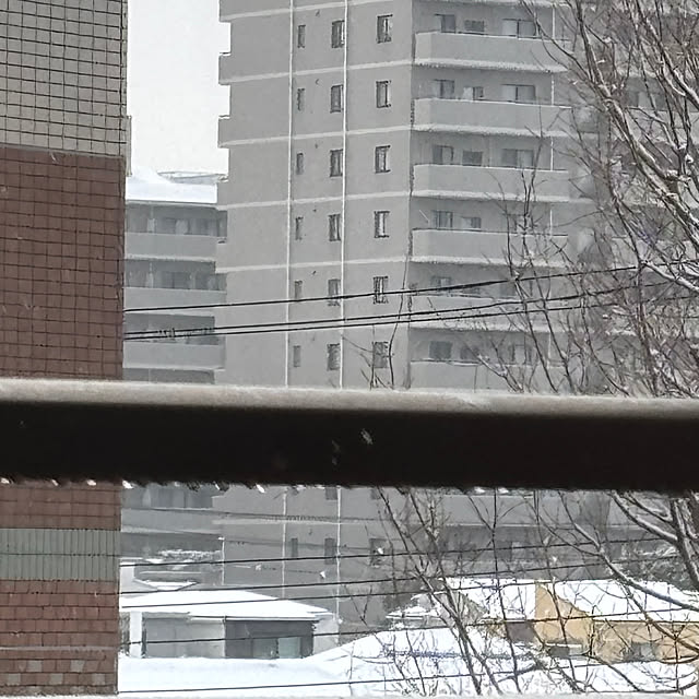 taigonさんの部屋