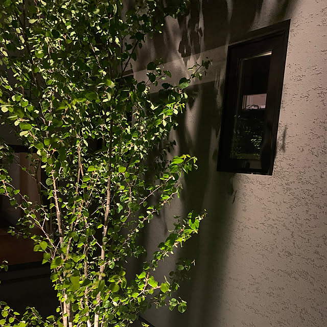 h_home.hさんの部屋