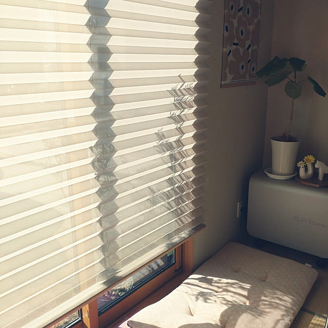 tan5さんの実例写真