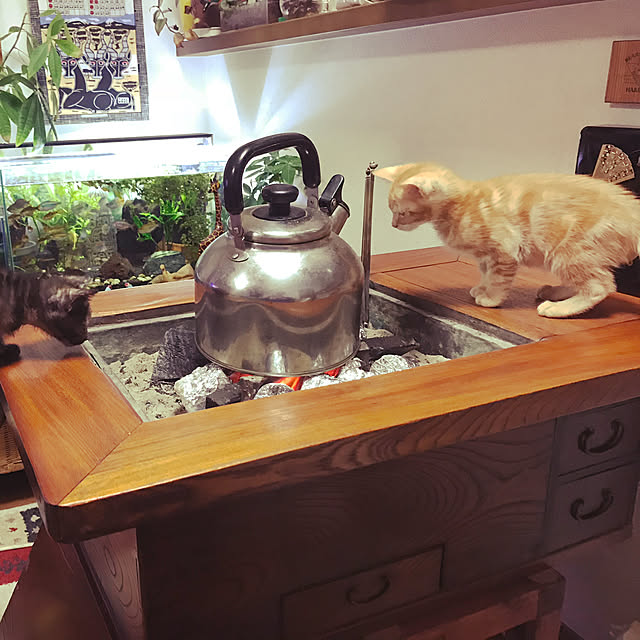 tornadeさんの実例写真