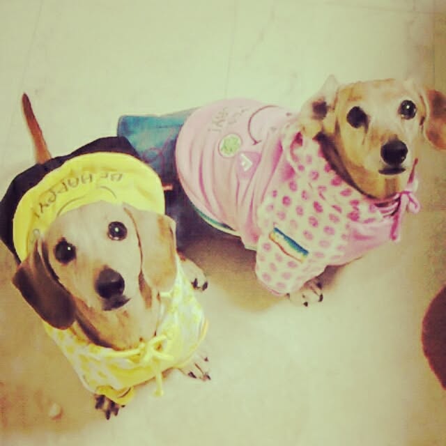 brさんの実例写真