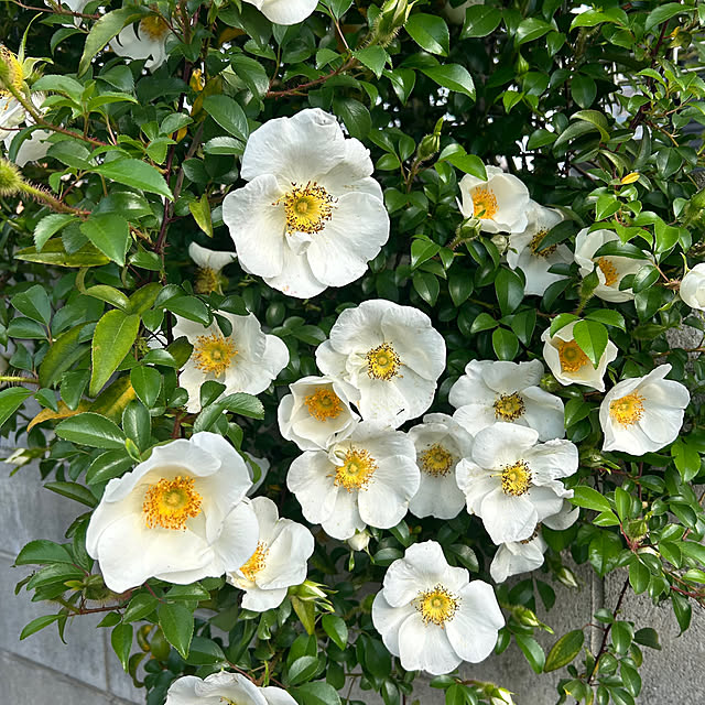 banbinaさんの部屋