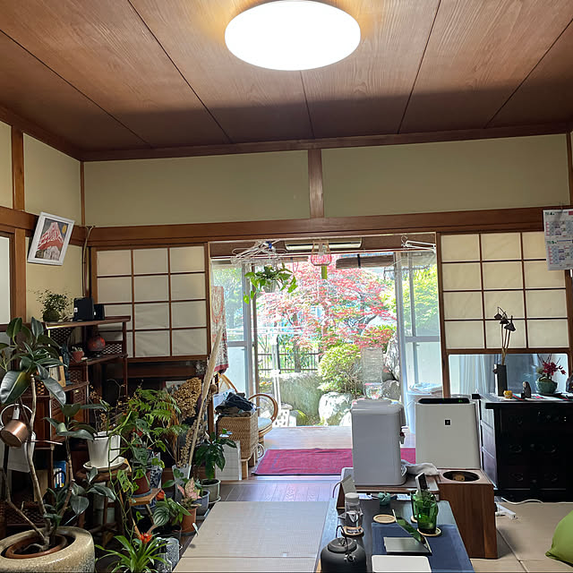 shin0719さんの実例写真