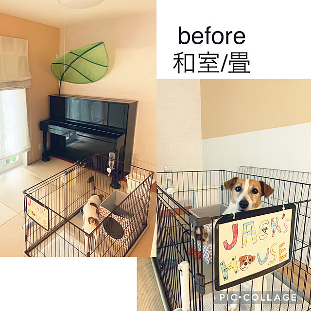 kittyさんの部屋