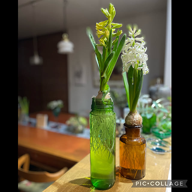 buchiさんの実例写真