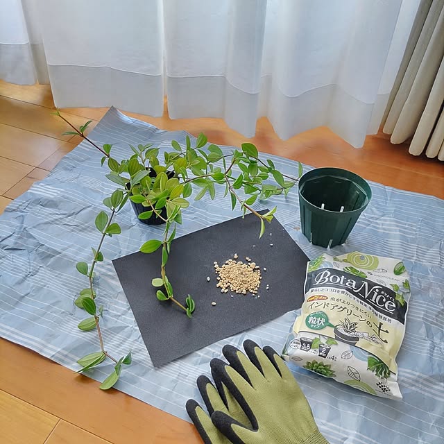 Haさんの実例写真