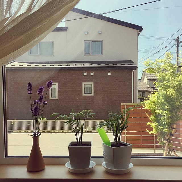 ma5uminさんの実例写真