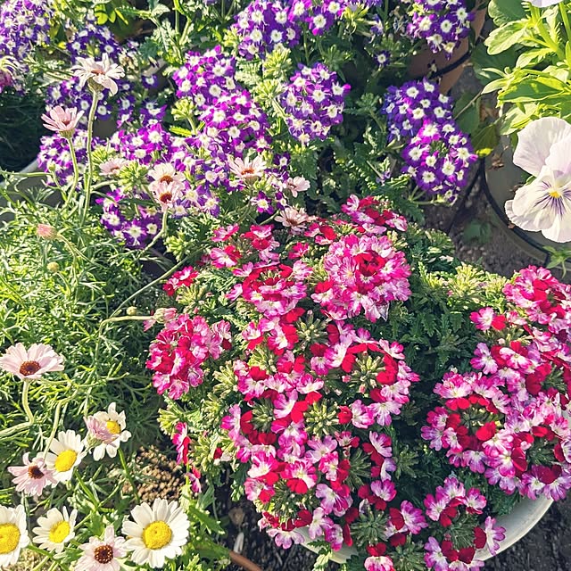 mofukoさんの実例写真