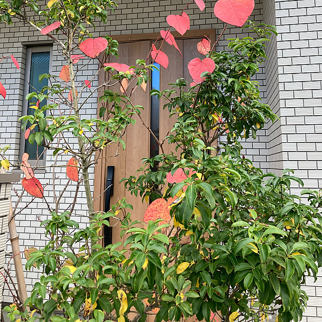 umingt330さんの実例写真