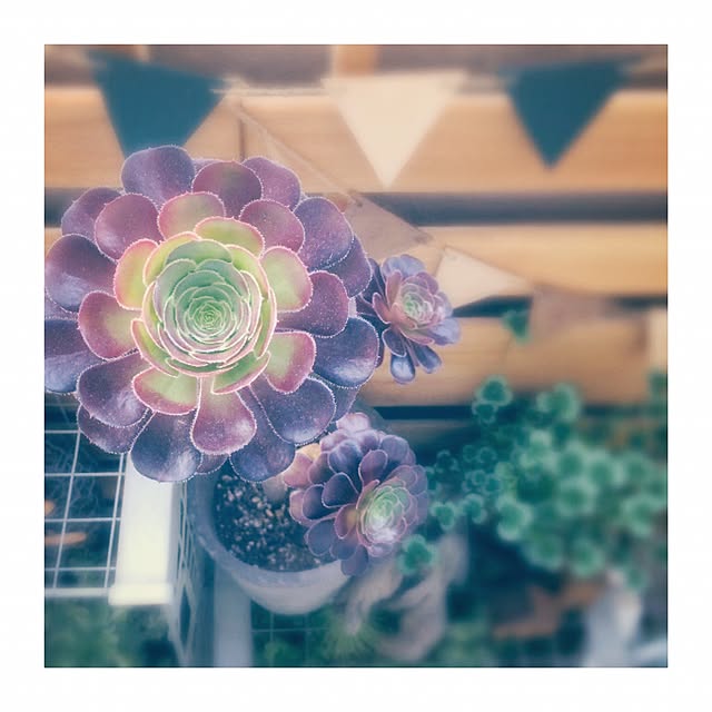 manatomoさんの実例写真