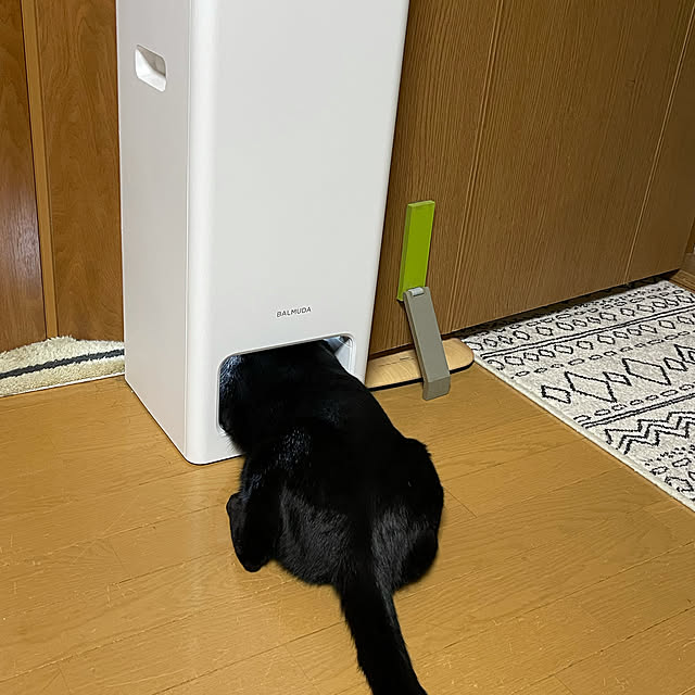 yukiyoさんの実例写真