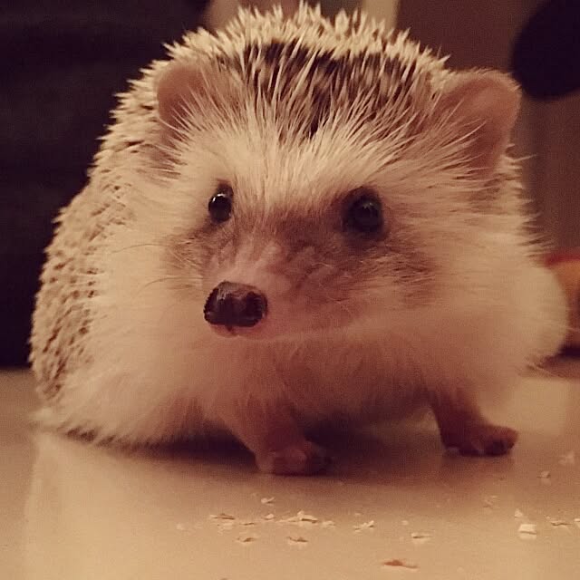 kuruさんの実例写真