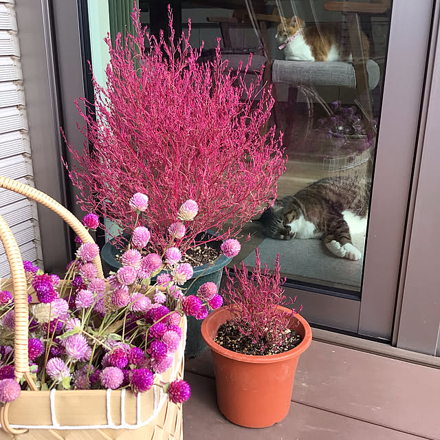houenさんの実例写真