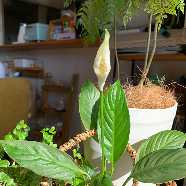 JUNさんの部屋