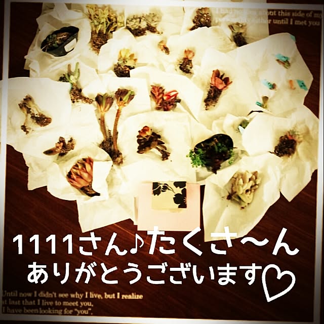 tomoryuryuさんの実例写真