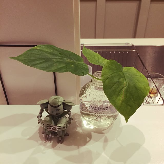 defeemiさんの実例写真