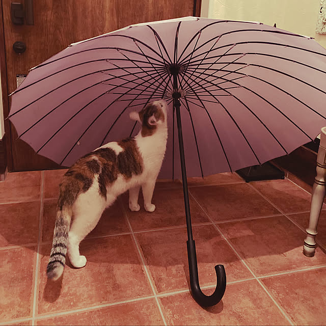 jill_lowさんの実例写真