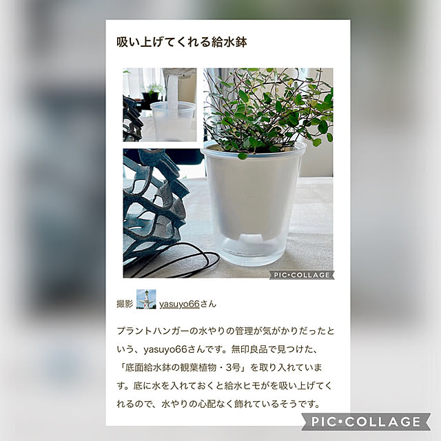 yasuyo66さんの実例写真