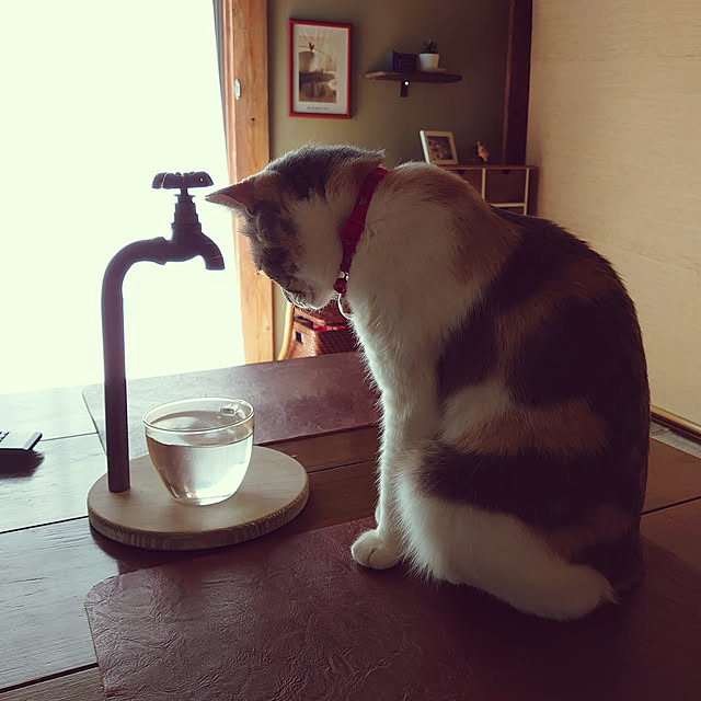 fukuさんの実例写真