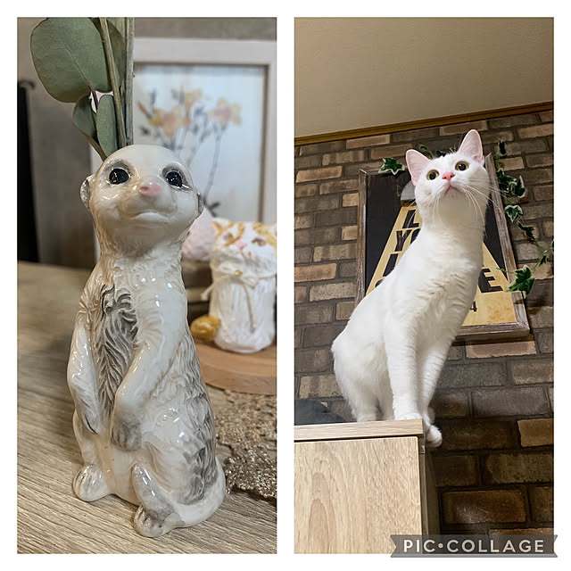 keiさんの実例写真