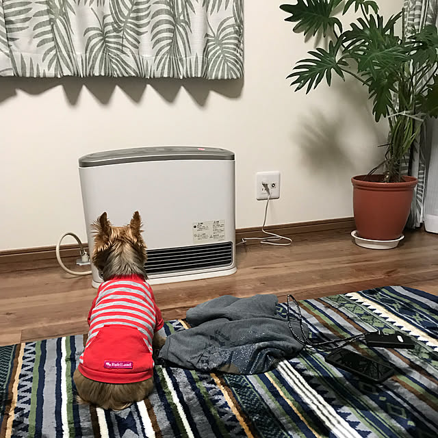 Chipchipさんの実例写真